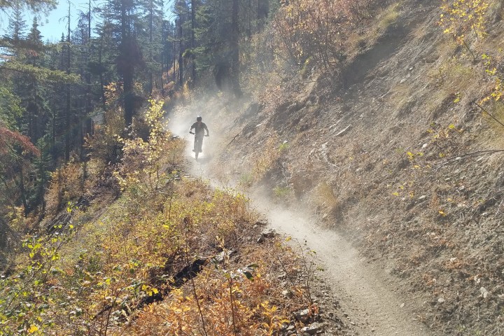 guy mountain biking seattle in dirt