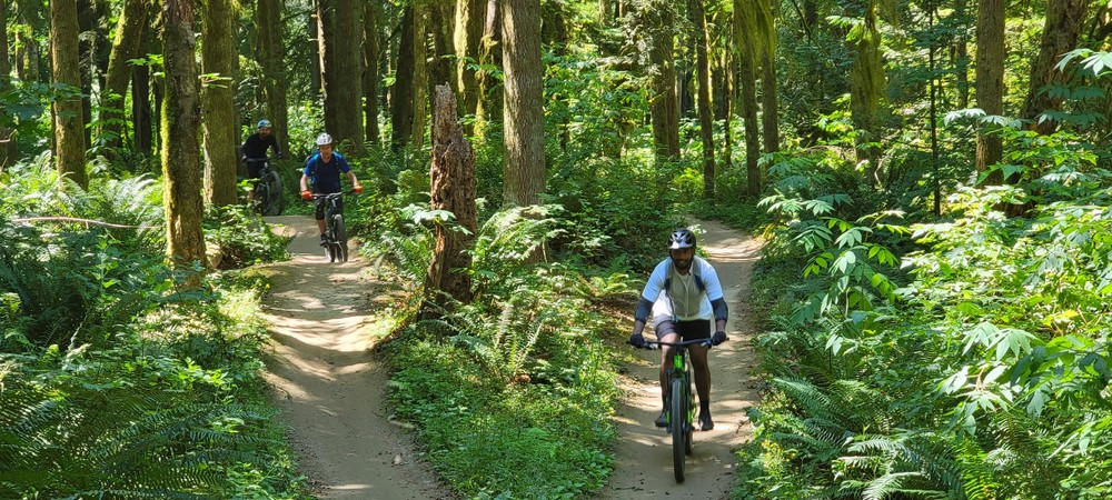 a man riding a bike down a dirt road in a forest